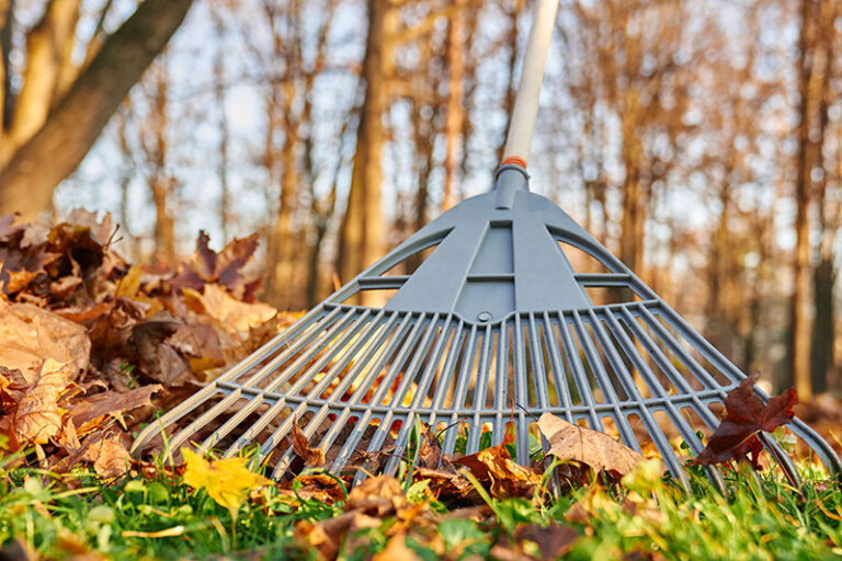 Prepare for the Changing Season with Fall Clean Up