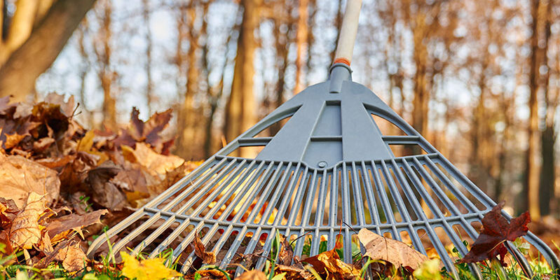 Prepare for the Changing Season with Fall Clean Up