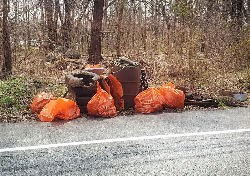 yard debris from spring cleanup