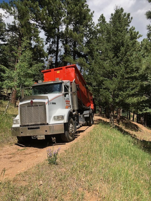 roll off dumpster rental for home renovation project