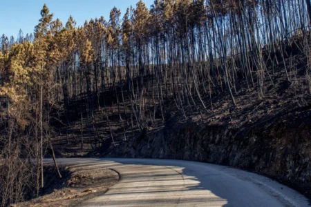 Family returning home after a wildfire evacuation