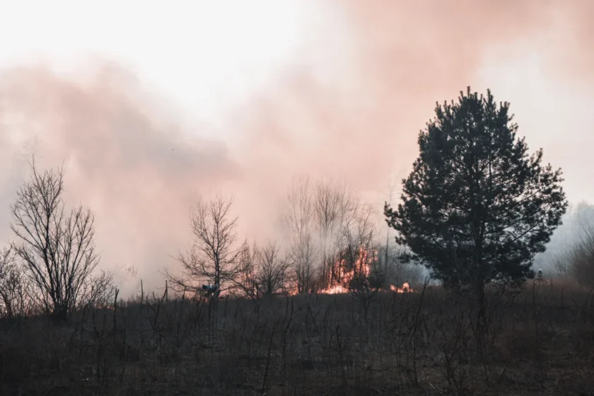 What to Do While You’re Waiting to Go Home After the Aspen Acres Fire