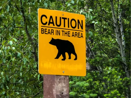 Bear resistant trash storage tips for Southern Colorado homes and rural properties