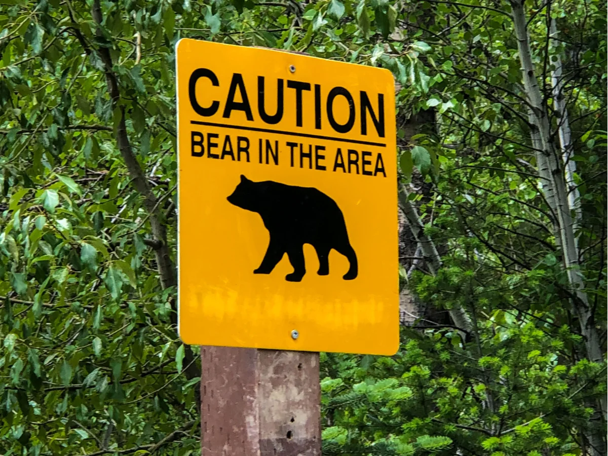Bear resistant trash storage tips for Southern Colorado homes and rural properties