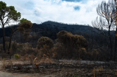 Post-wildfire waste management during community recovery in Southern Colorado