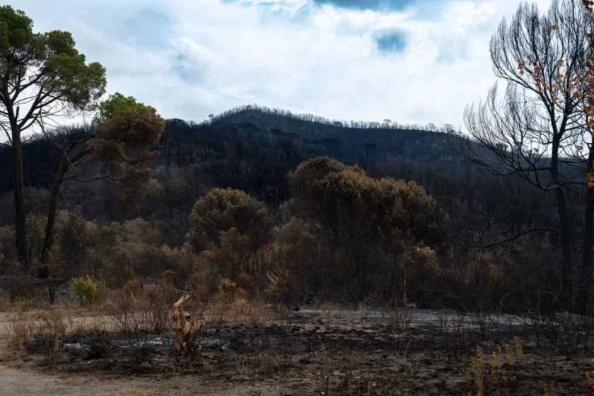 Post-Wildfire Waste Management Helps Communities Rebuild