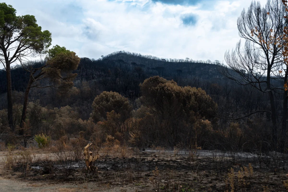 Post-wildfire waste management during community recovery in Southern Colorado